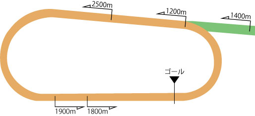 中京競馬場ダートコース