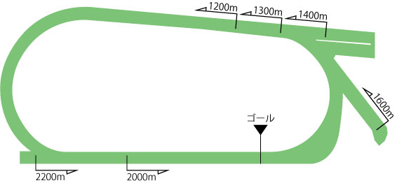 中京競馬場芝コース