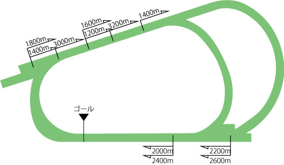 阪神競馬場芝コース