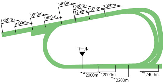 京都競馬場芝コース