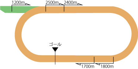 中山競馬場ダートコース