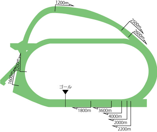 中山競馬場芝コース