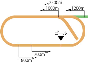 新潟競馬場ダートコース