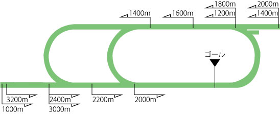 新潟競馬場芝コース