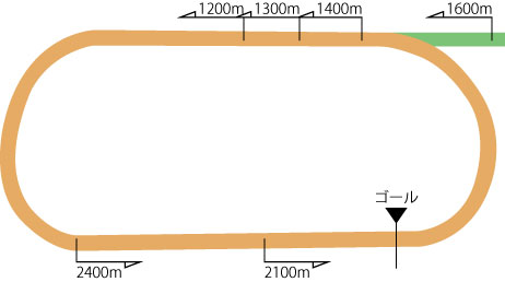 東京競馬場ダートコース
