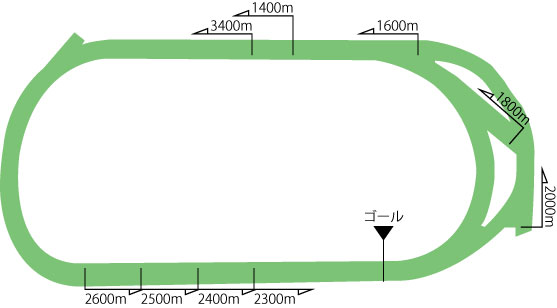 東京競馬場芝コース