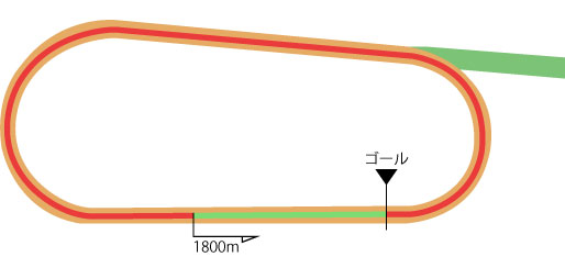 中京競馬場 ダート1800m