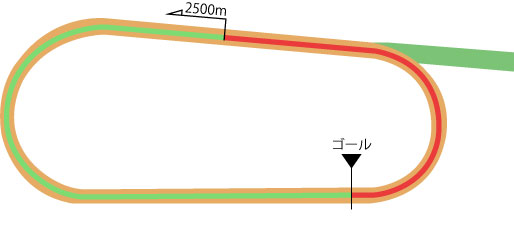 中京競馬場 ダート2500m