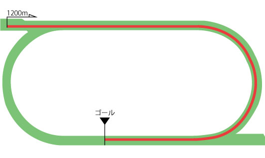 函館競馬場 芝1200m