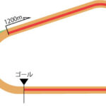 阪神競馬場 ダート1200m