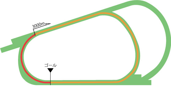 阪神競馬場 芝3000m（内）