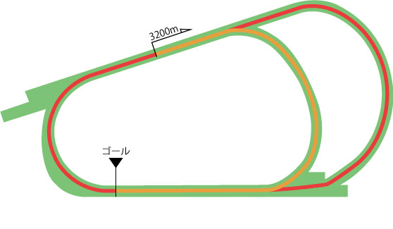 阪神競馬場 芝3200m（外内）