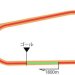 京都競馬場 ダート1800m