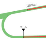 京都競馬場 芝1100m（内）