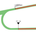 京都競馬場 芝1200m（内）