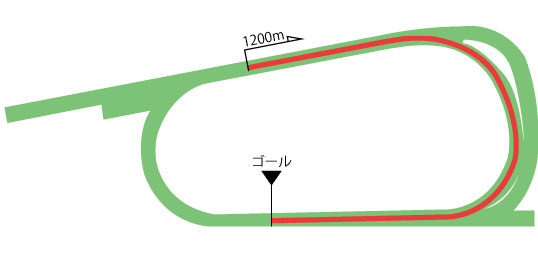 京都競馬場 芝1200m（内）