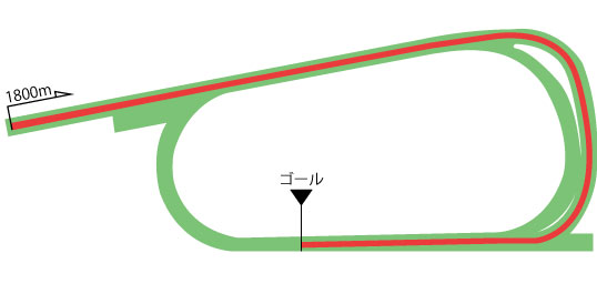 京都競馬場 芝1800m（外）