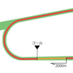 京都競馬場 芝2000m（内）