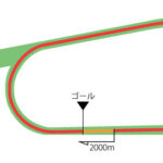 京都競馬場 芝2000m（外）