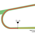 京都競馬場 芝2200m（外）