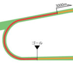 京都競馬場 芝3000m（外）