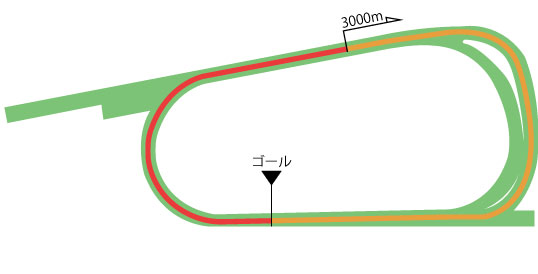 京都競馬場 芝3000m（外）