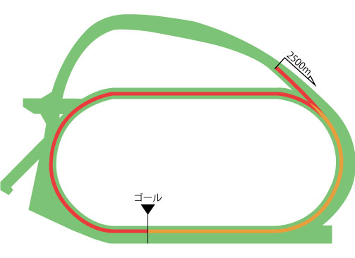 中山競馬場 芝2500m（内）