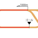 新潟競馬場 ダート1000m