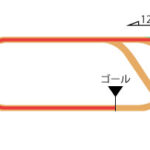 新潟競馬場 ダート1200m