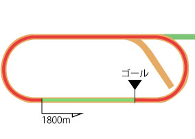 新潟競馬場 ダート1800m