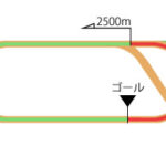 新潟競馬場 ダート2500m