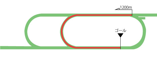 新潟競馬場 芝1200m（内）