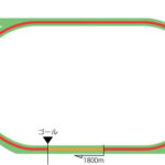 札幌競馬場 芝1800m