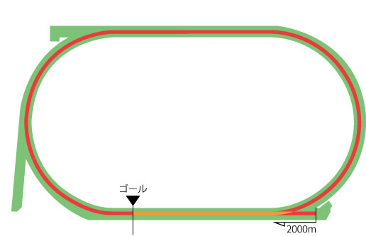 札幌競馬場 芝2000m