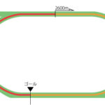 札幌競馬場 芝2600m