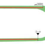 東京競馬場 芝1600m