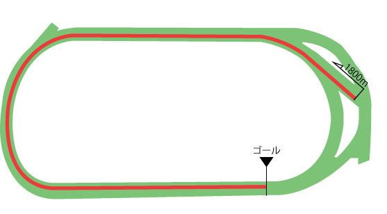 東京競馬場 芝1800m