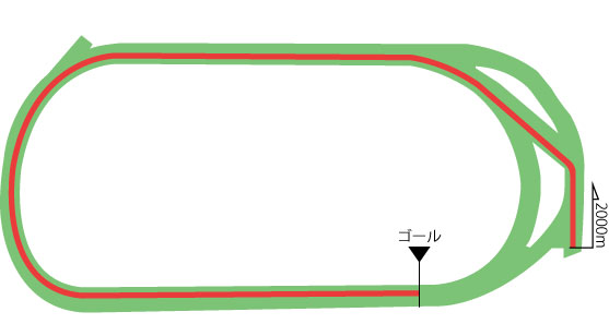 東京競馬場 芝2000m