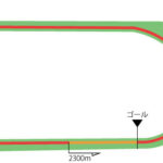 東京競馬場 芝2300m