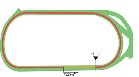 東京競馬場 芝2300m