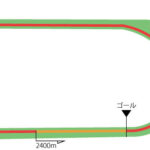 東京競馬場 芝2400m