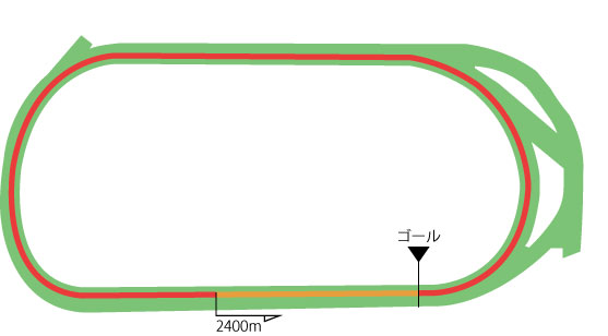 東京競馬場 芝2400m