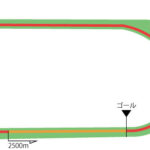 東京競馬場 芝2500m