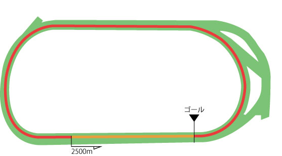 東京競馬場 芝2500m