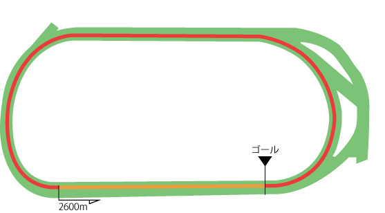 東京競馬場 芝2600m